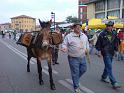 Adunata Alpini BAssano 2008 MK-155